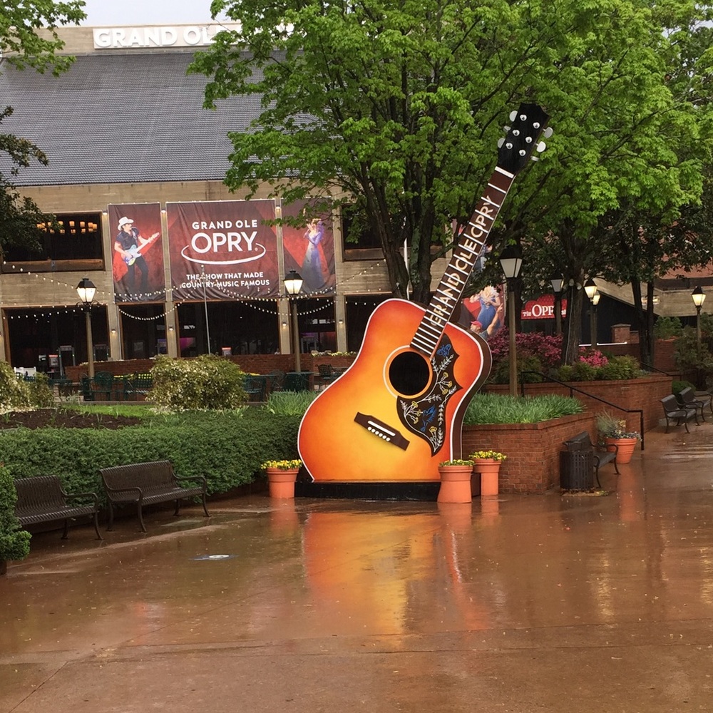 Meet your Posher, Ashleigh